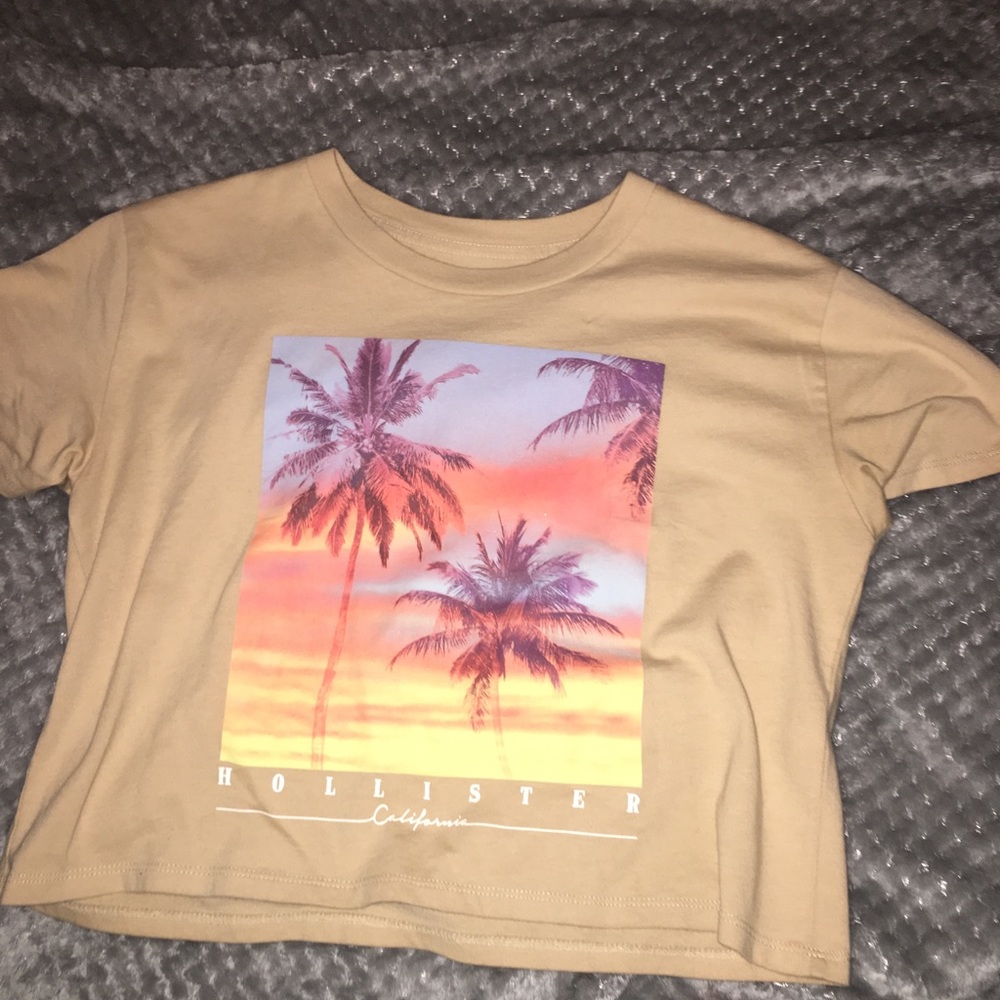 hollister tee